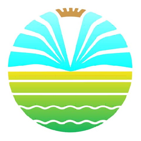 Logo NOV